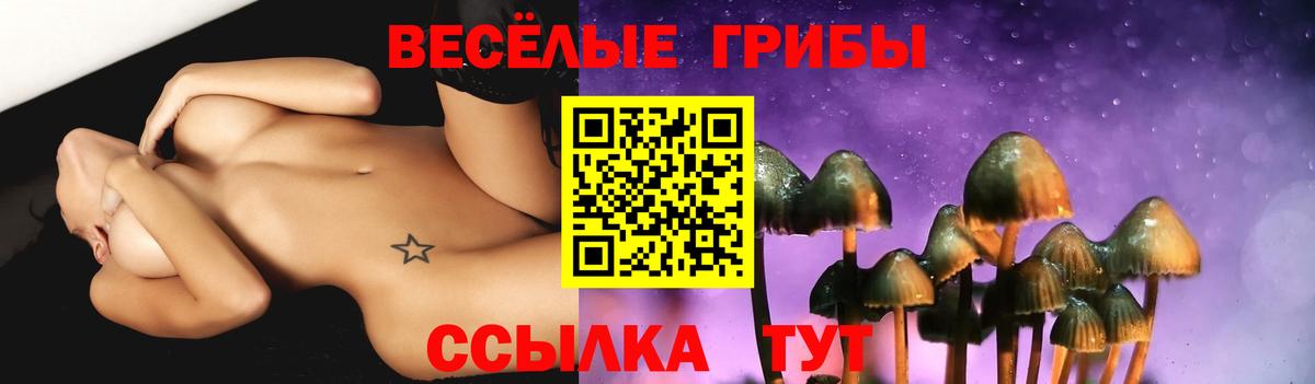 Галлюциногенные грибы Cubensis Строитель